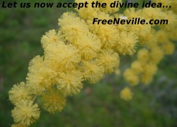 Free Neville Goddard - Divine Idea