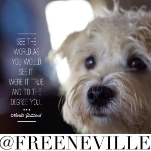 how_to_feel_it_real_neville_goddard_see_the_world